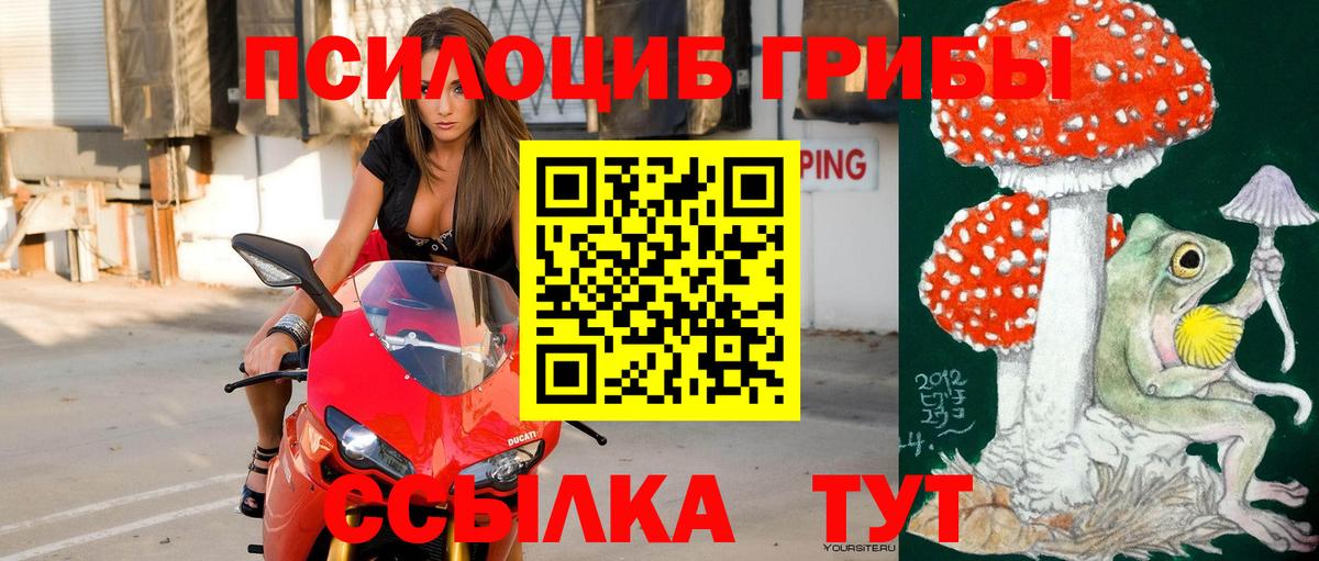 Галлюциногенные грибы Psilocybe  Псилоцибиновые грибы мухоморы  Партизанск  закладки  Вход с VPN 