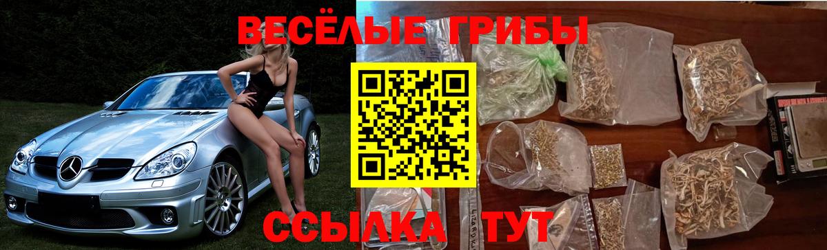 Галлюциногенные грибы мухоморы Партизанск